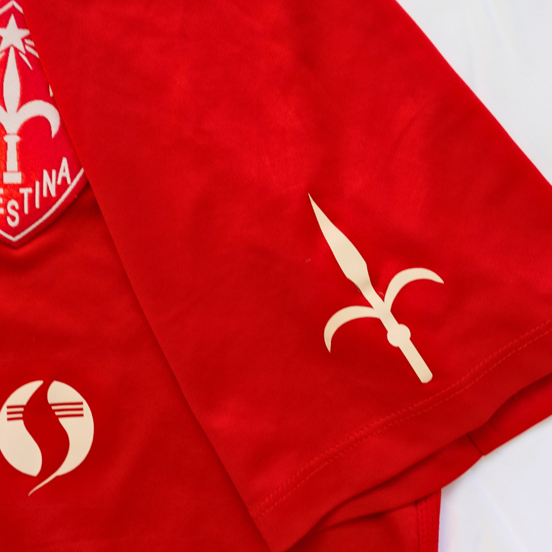 Triestina - Serie D - #13
