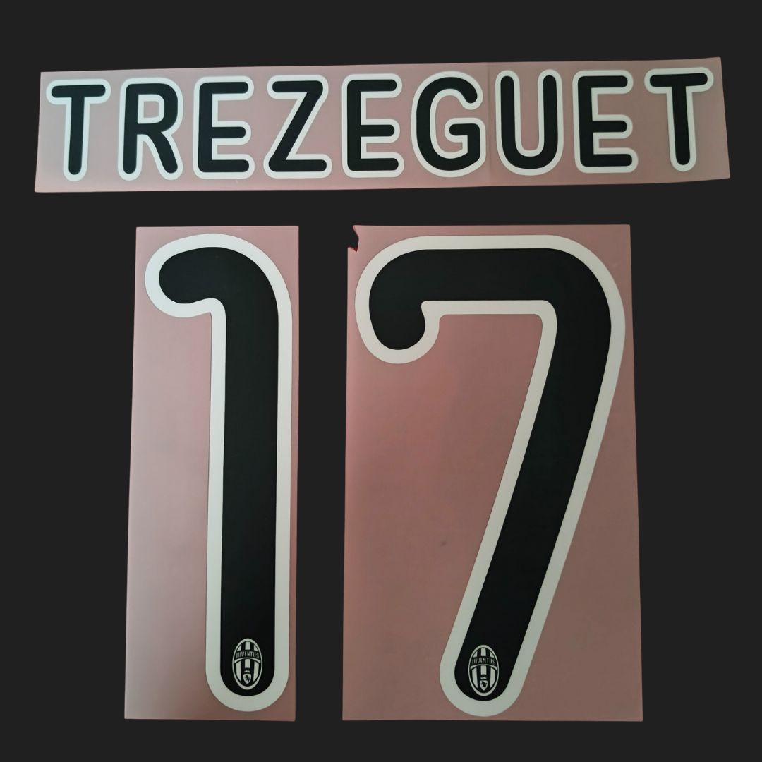 Trezeguet nameset FC Juventus 09-10